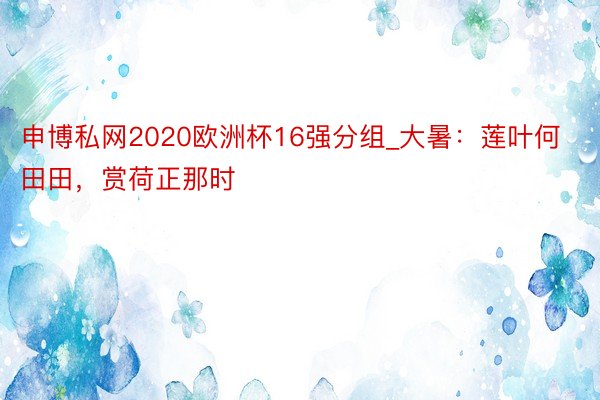 申博私网2020欧洲杯16强分组_大暑：莲叶何田田，赏荷正那时