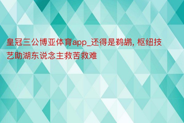 皇冠三公博亚体育app_还得是鹈鹕, 枢纽技艺助湖东说念主救苦救难