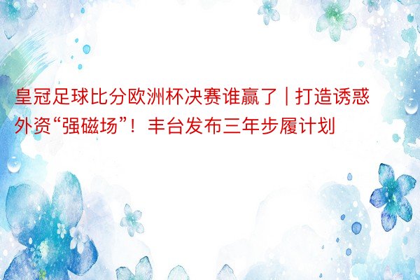 皇冠足球比分欧洲杯决赛谁赢了 | 打造诱惑外资“强磁场”！丰台发布三年步履计划