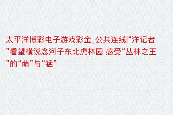 太平洋博彩电子游戏彩金_公共连线|“洋记者”看望横说念河子东北虎林园 感受“丛林之王”的“萌”与“猛”