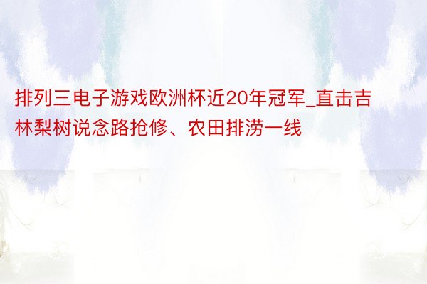 排列三电子游戏欧洲杯近20年冠军_直击吉林梨树说念路抢修、农田排涝一线