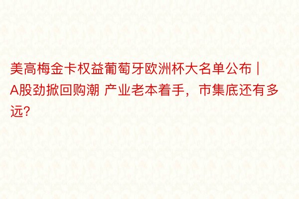 美高梅金卡权益葡萄牙欧洲杯大名单公布 | A股劲掀回购潮 产业老本着手，市集底还有多远？