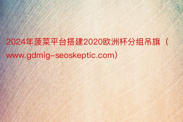 2024年菠菜平台搭建2020欧洲杯分组吊旗（www.gdmig-seoskeptic.com）