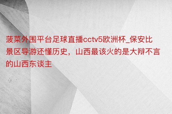 菠菜外围平台足球直播cctv5欧洲杯_保安比景区导游还懂历史，山西最该火的是大辩不言的山西东谈主