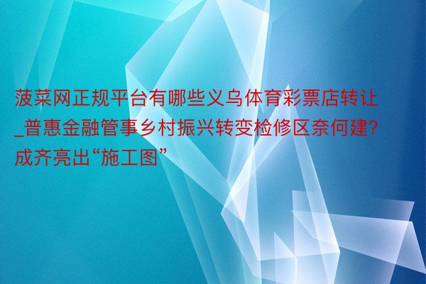 菠菜网正规平台有哪些义乌体育彩票店转让_普惠金融管事乡村振兴转变检修区奈何建？成齐亮出“施工图”